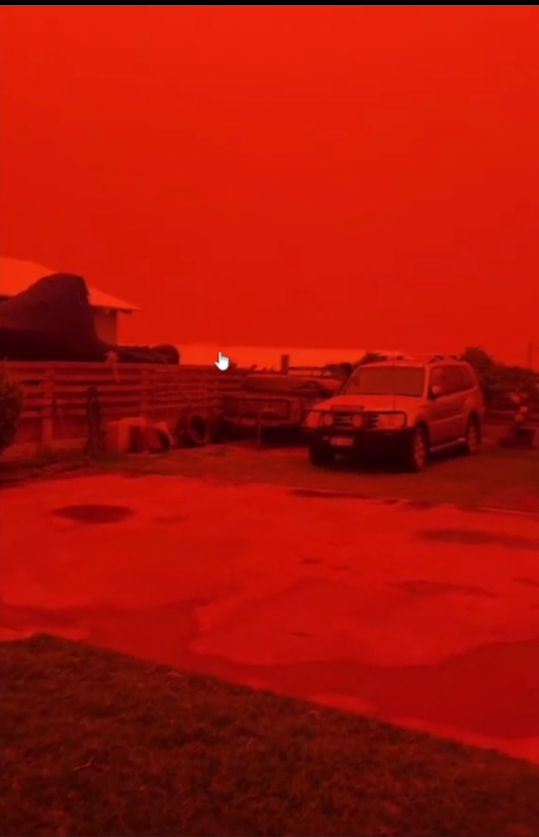 ALMAZ CUP 08-10.05.2026, м. Івано-Франківськ